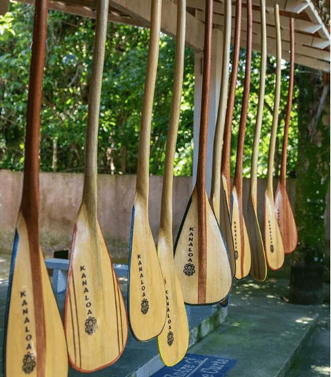 Remos de Canoa Havaiana Arte em Madeira VAA